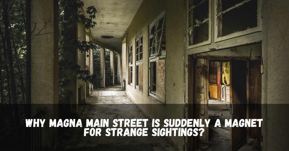 Why Magna Main Street Is Suddenly a Magnet for Strange Sightings?